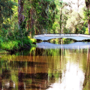 Egret Bridge