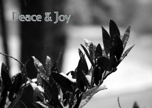 PeaceAndJoy_001